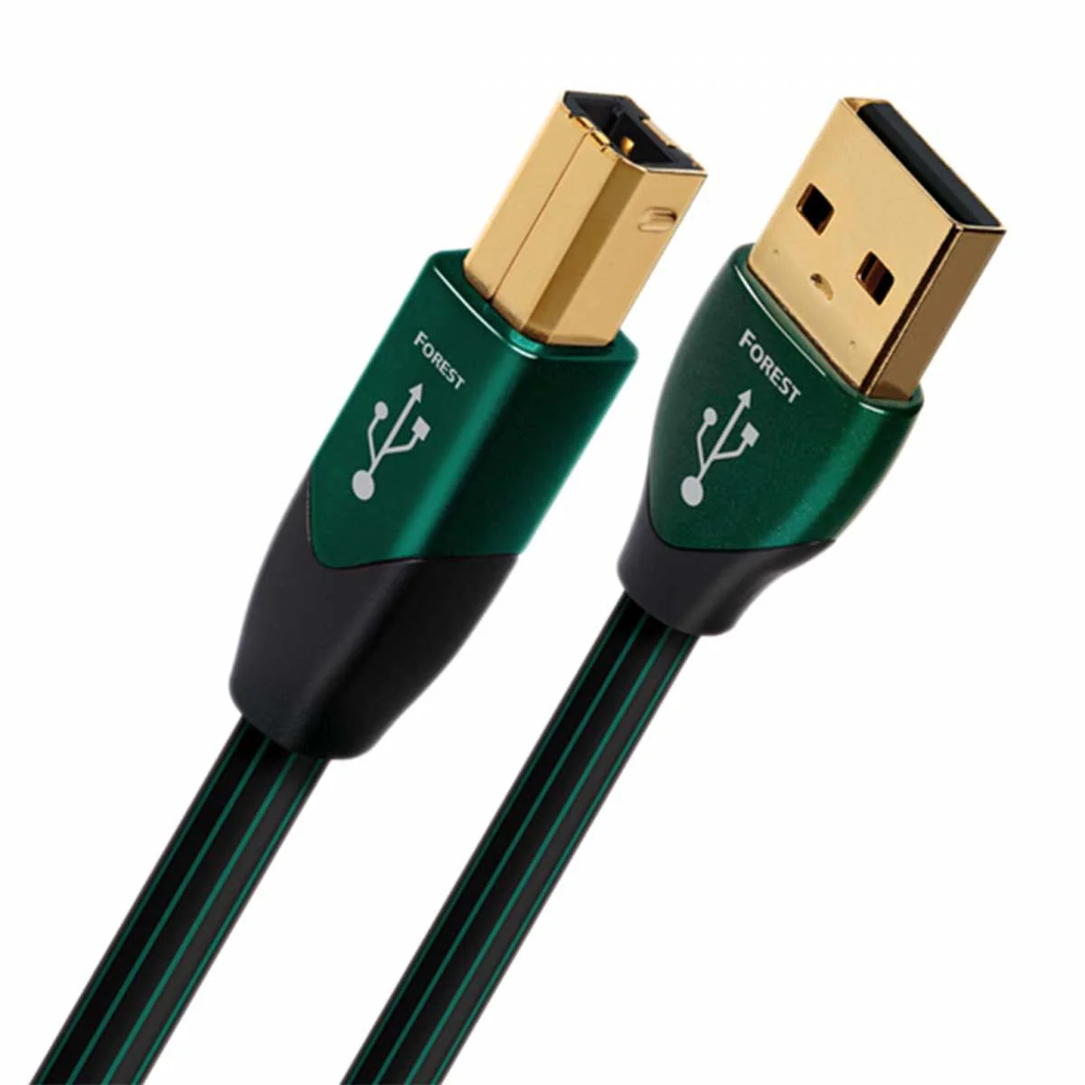 AudioQuest Forest USB-A > B High-Definition Digital Audio Cable - Image 2