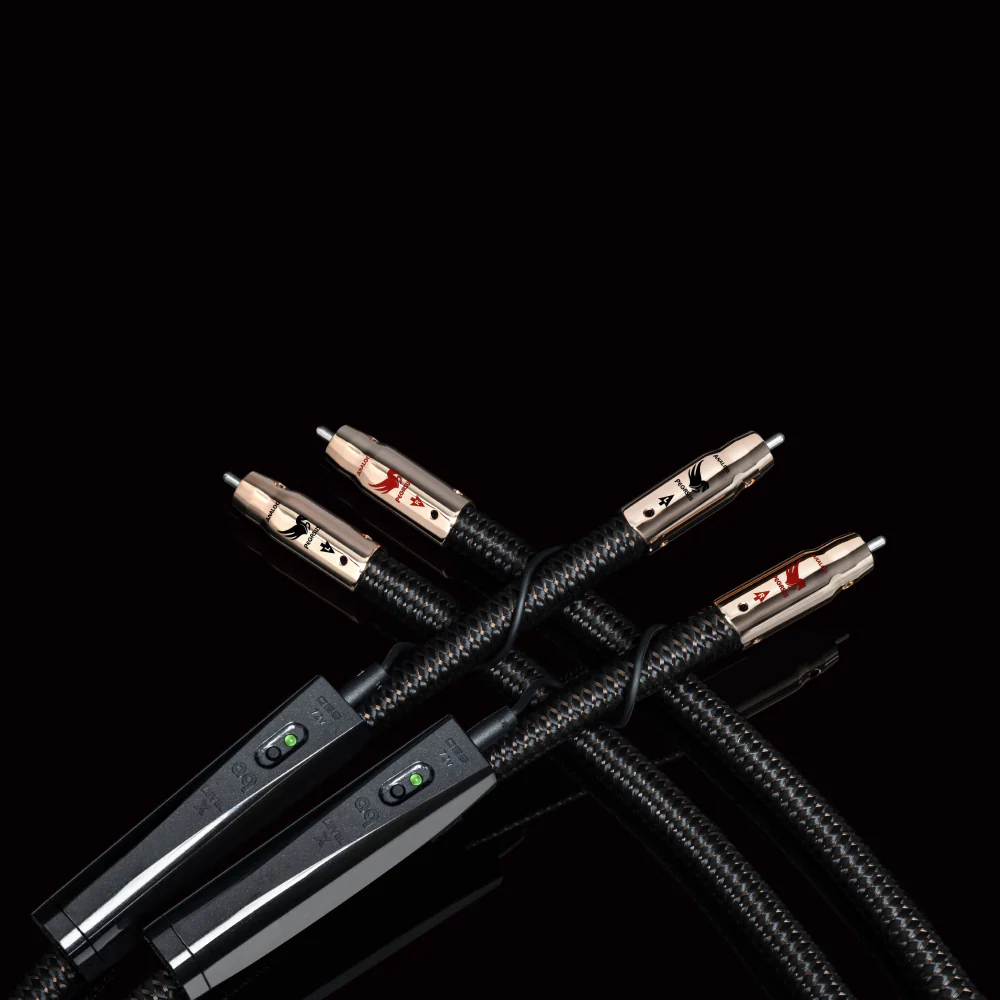 AudioQuest Pegasus RCA-to-RCA Analog Audio Interconnect Cable (Pair) - Image 3
