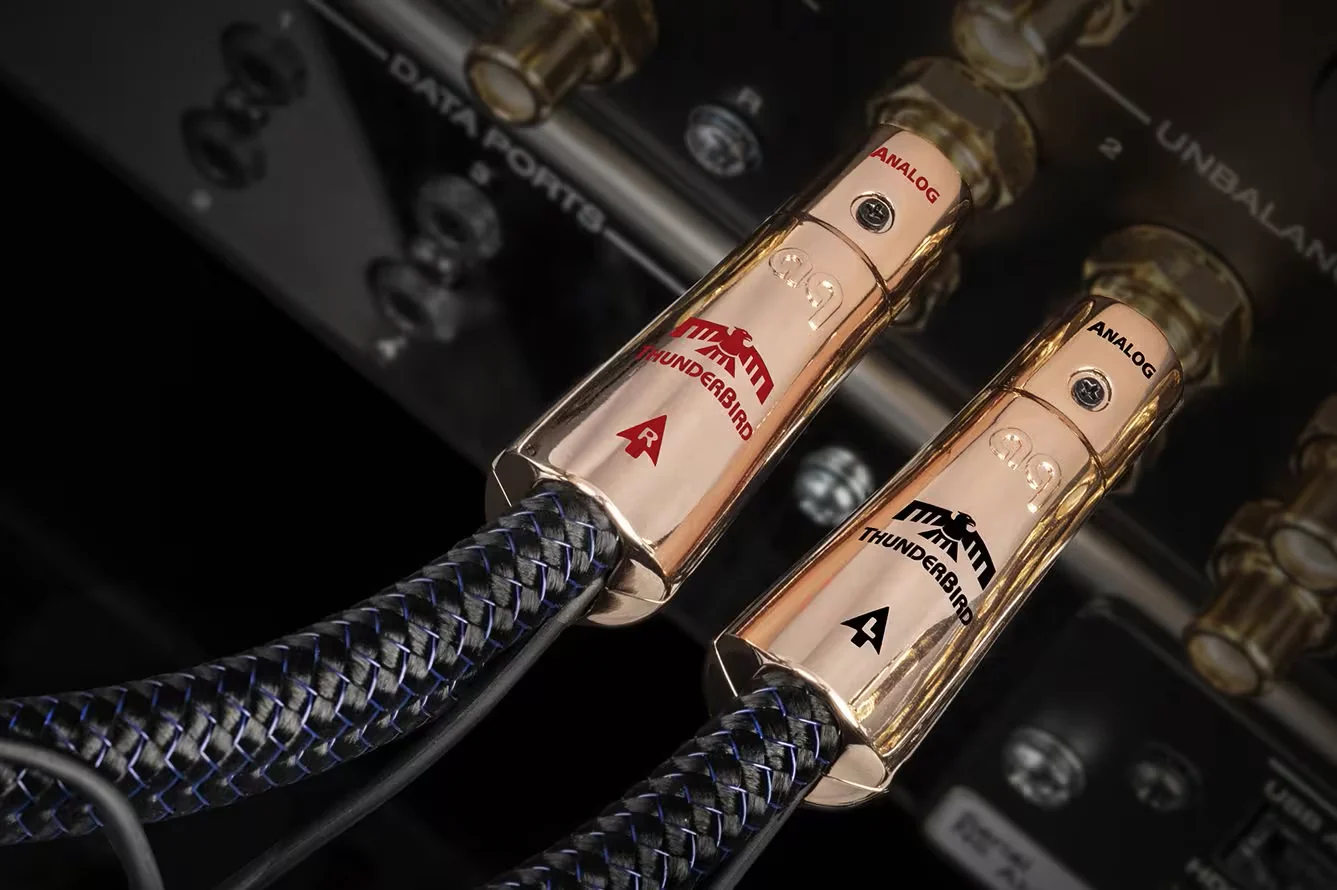 AudioQuest ThunderBird RCA > RCA Analog Audio Interconnect Cable (Pair) - Image 2