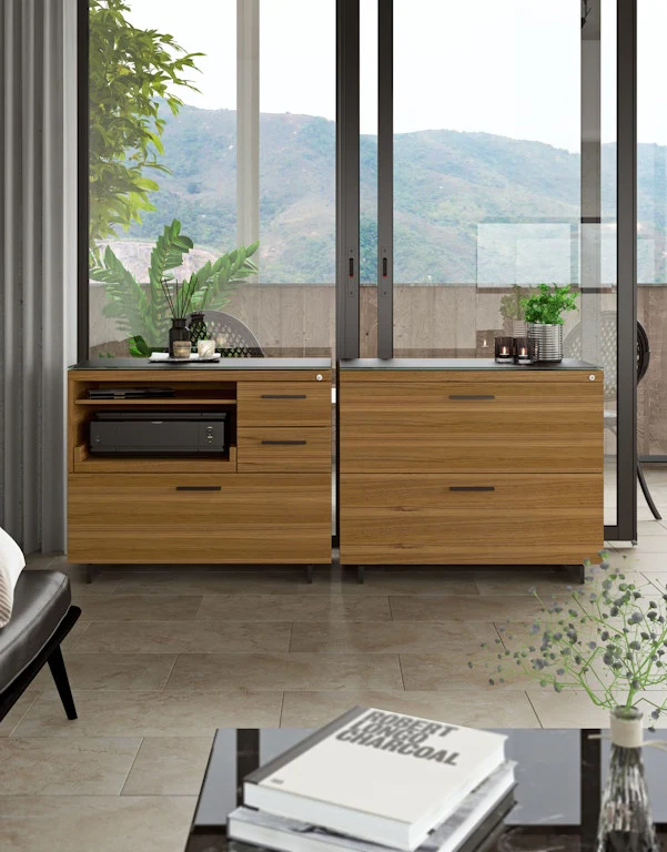 BDI Sequel 6116 Lateral Locking File Cabinet - Image 22