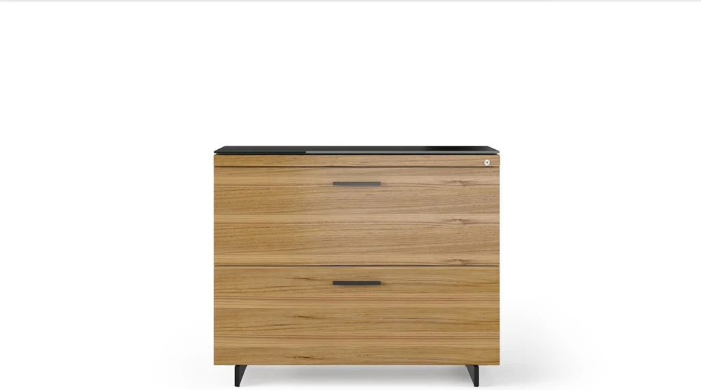 BDI Sequel 6116 Lateral Locking File Cabinet - Image 32