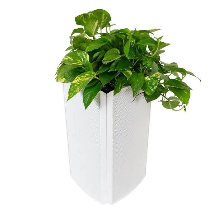 Coastal Source Razor Planter Blank Enclosure - Image 7
