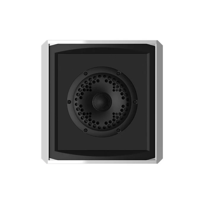 Coastal Source Razor RZ110 2-Way Speaker - Image 7