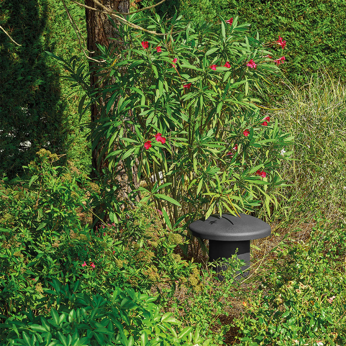 Focal OD Sub 12 12" Outdoor Subwoofer (Each) - Image 7