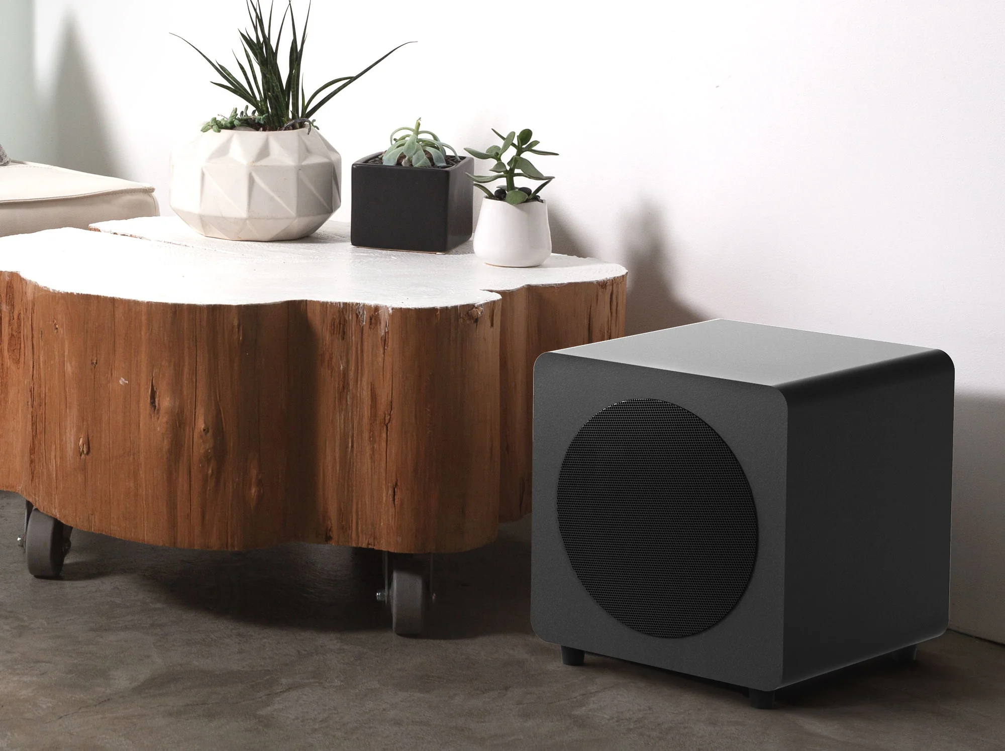 Kanto SUB8 8 Inch Powered Subwoofer - Image 15