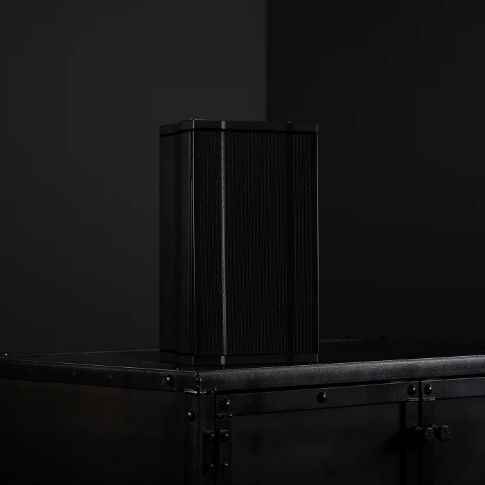 Leon Tr55AL-MT Terra Boundary Outdoor Speakers (Each) - Image 7