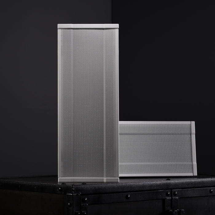 Leon Tr55AL-MTM Terra Boundary Outdoor Speakers (Each) - Image 2