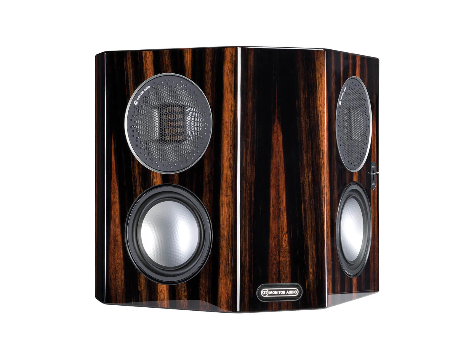 Monitor Audio Gold FX Surround Speaker (Pair) - Image 7