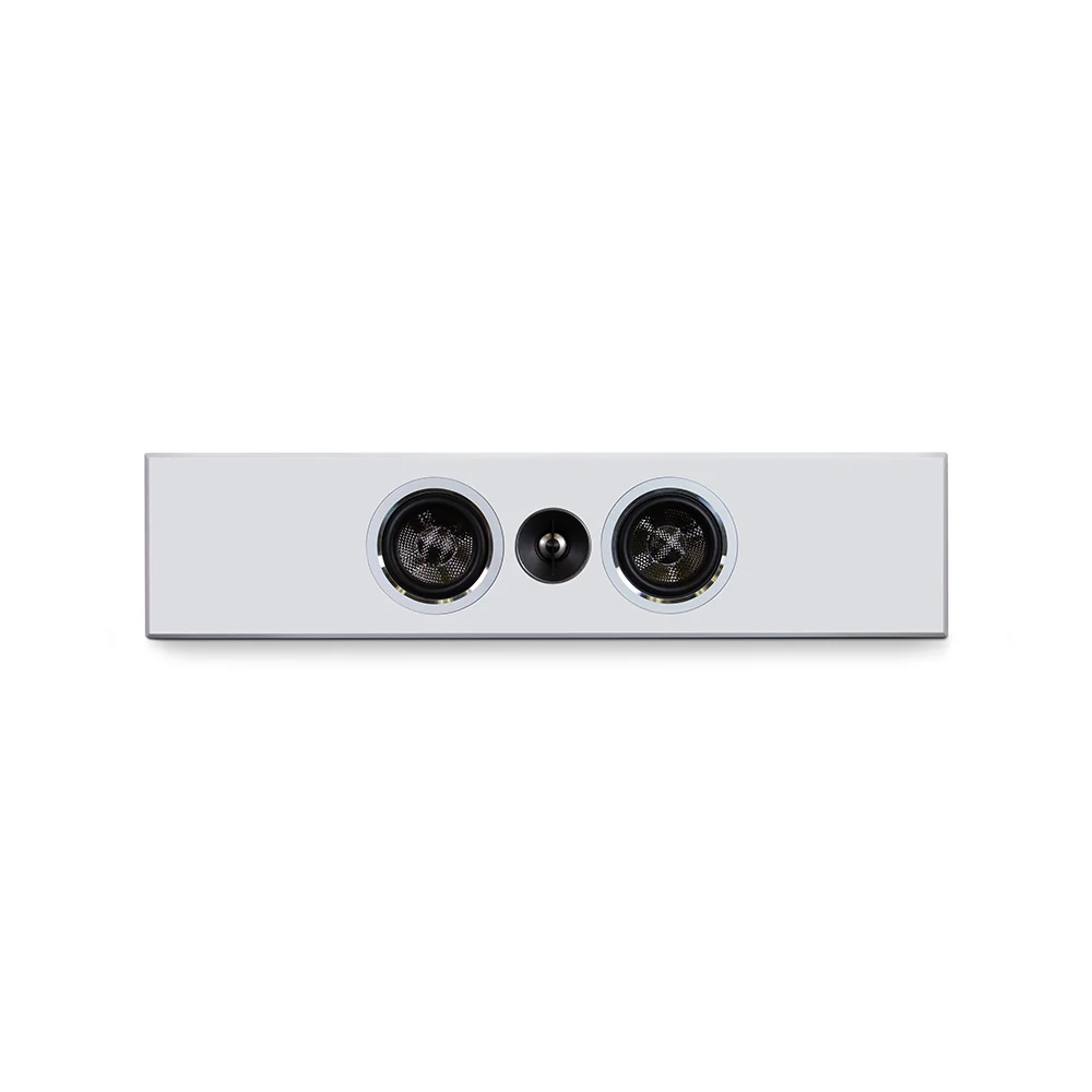 PSB Performance Wall Mount PWM1 On Wall Speaker - Image 2