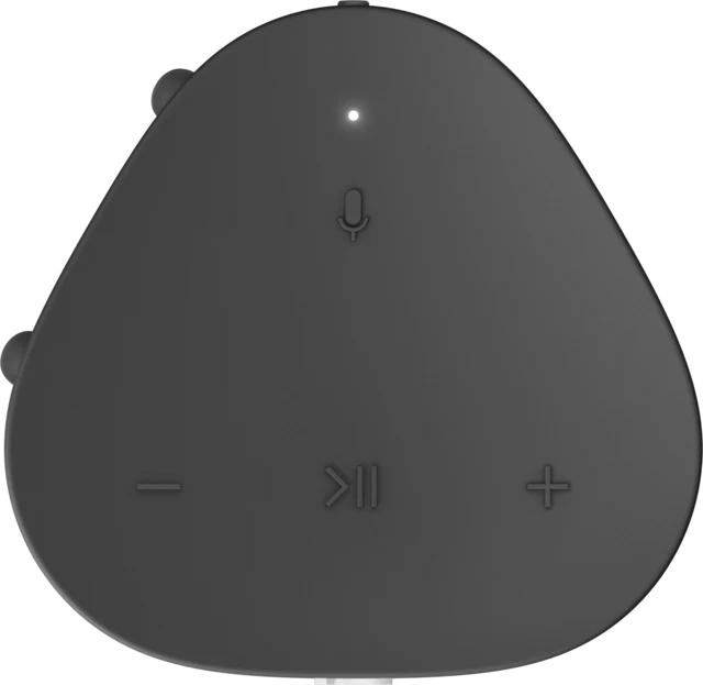 Sonos Roam Portable Smart Speaker - Image 32