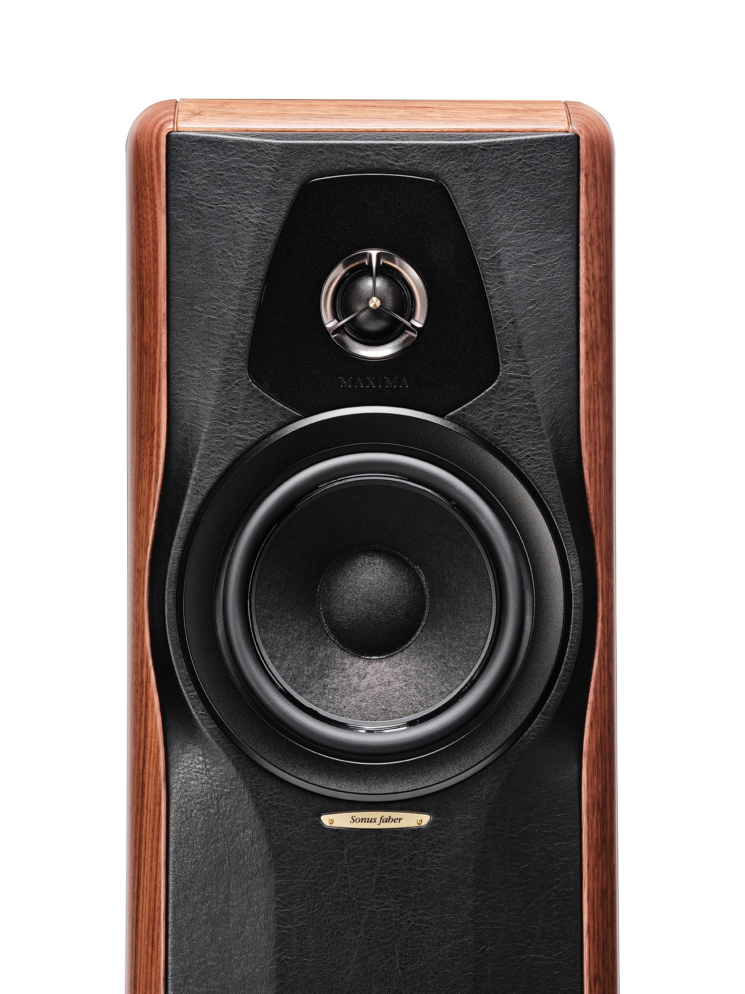 Sonus faber MAXIMA AMATOR 2-Way Acoustic Floorstanding Speakers (Pair) - Image 15