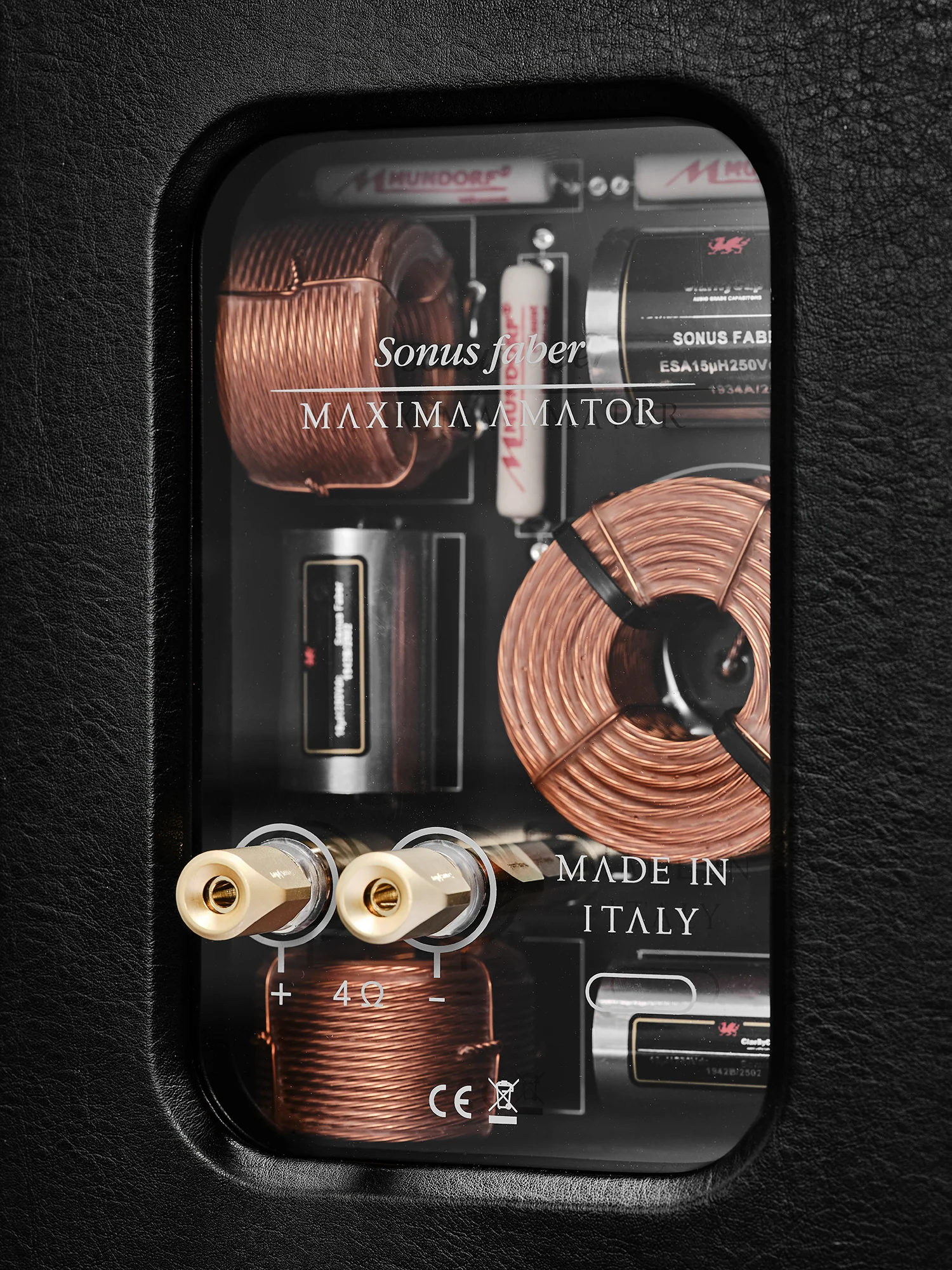 Sonus faber MAXIMA AMATOR 2-Way Acoustic Floorstanding Speakers (Pair) - Image 21
