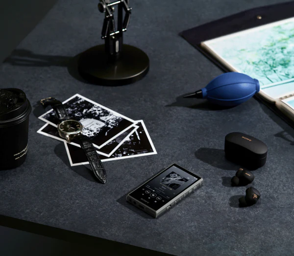 Sony NW-A306 Walkman A Series Hi-Res Digital Music Player - Image 7