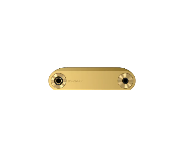 Sony NW-WM1ZM2 Signature Series Premium Digital Music Player - Image 6