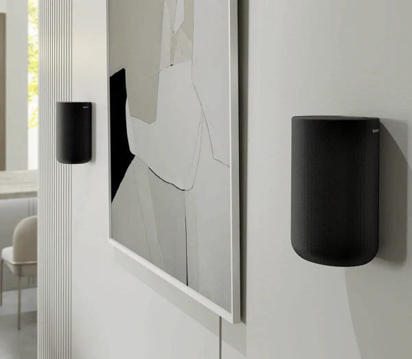 Sony SA-RS5 Wireless Rear Speakers with Built-in Battery - Image 6