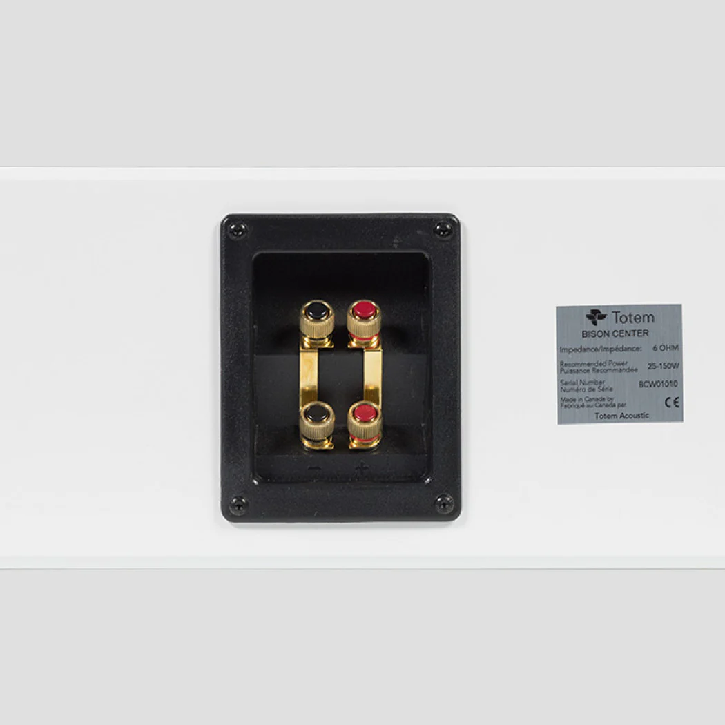 Totem Bison Center Channel Speaker (Each) - Image 8
