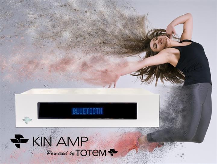 KIN by Totem Amp 2 Channel Class D Amplifier (Each) - Image 5
