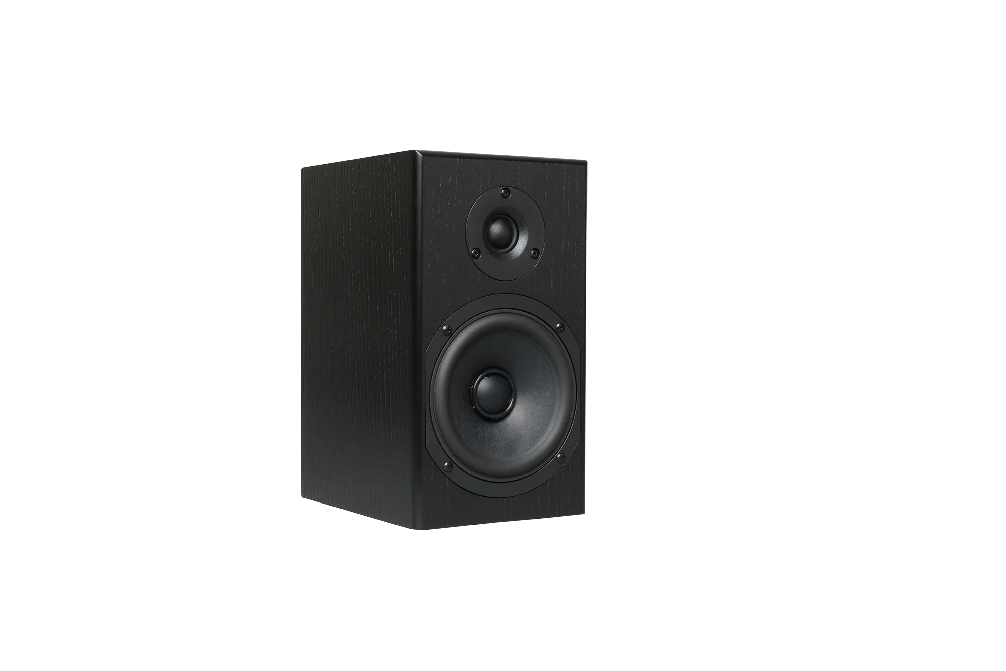 Totem LOON Monitor Speaker (Pair) - Image 11