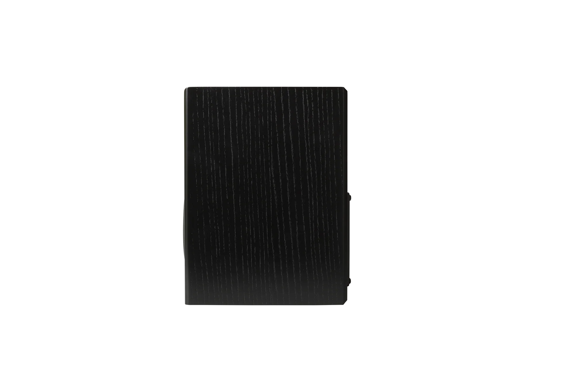 Totem LOON Monitor Speaker (Pair) - Image 12