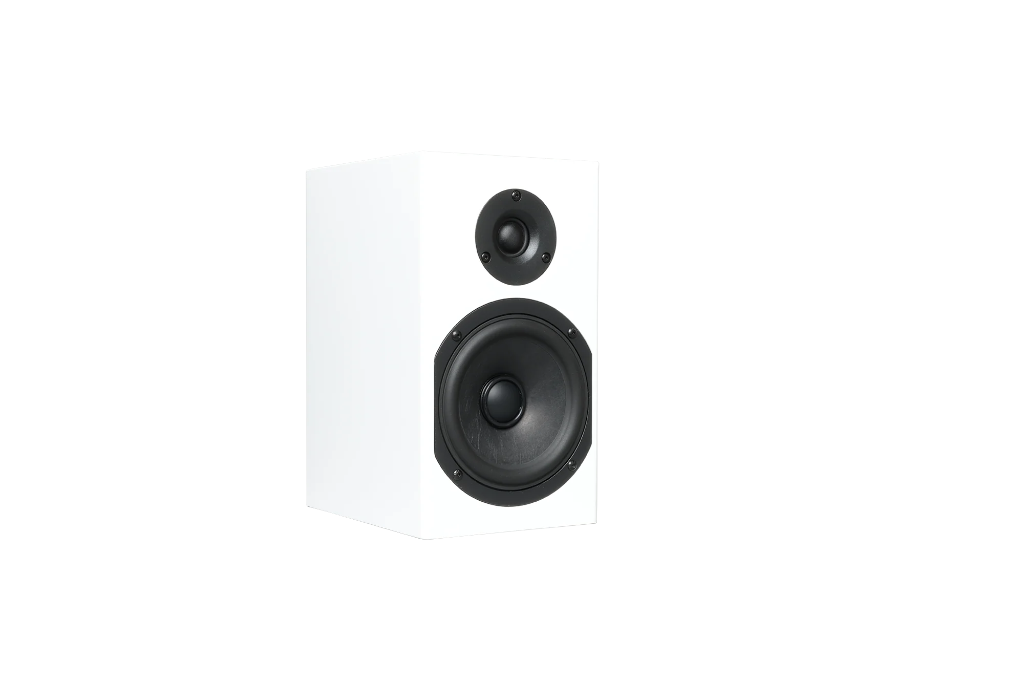 Totem LOON Monitor Speaker (Pair) - Image 15