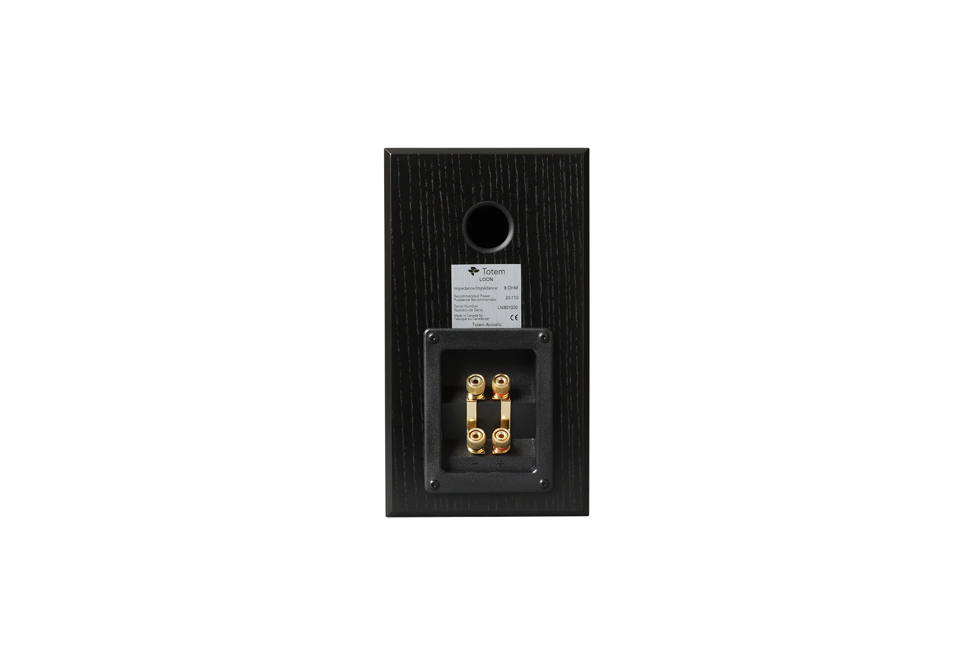 Totem LOON Monitor Speaker (Pair) - Image 16