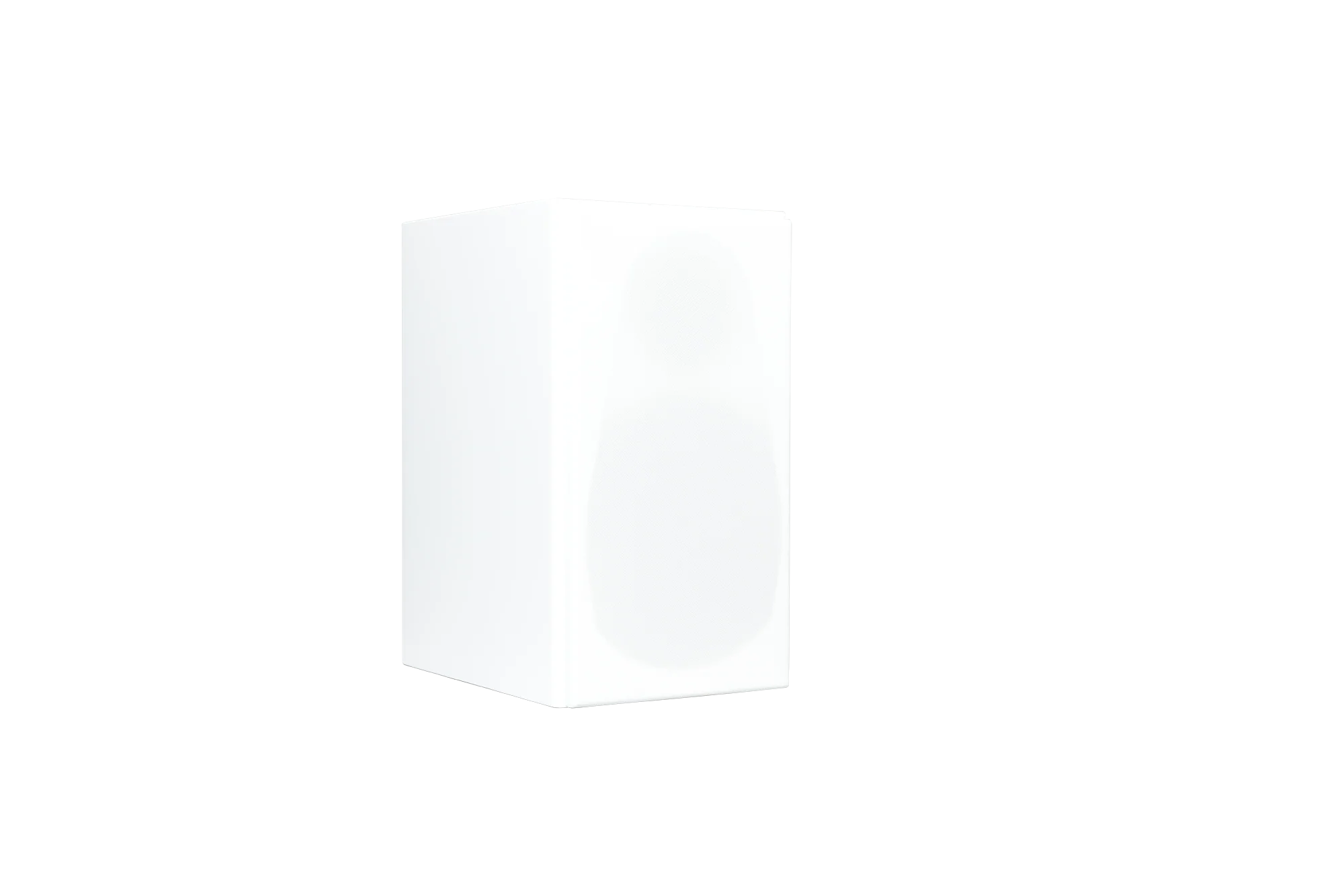 Totem LOON Monitor Speaker (Pair) - Image 17