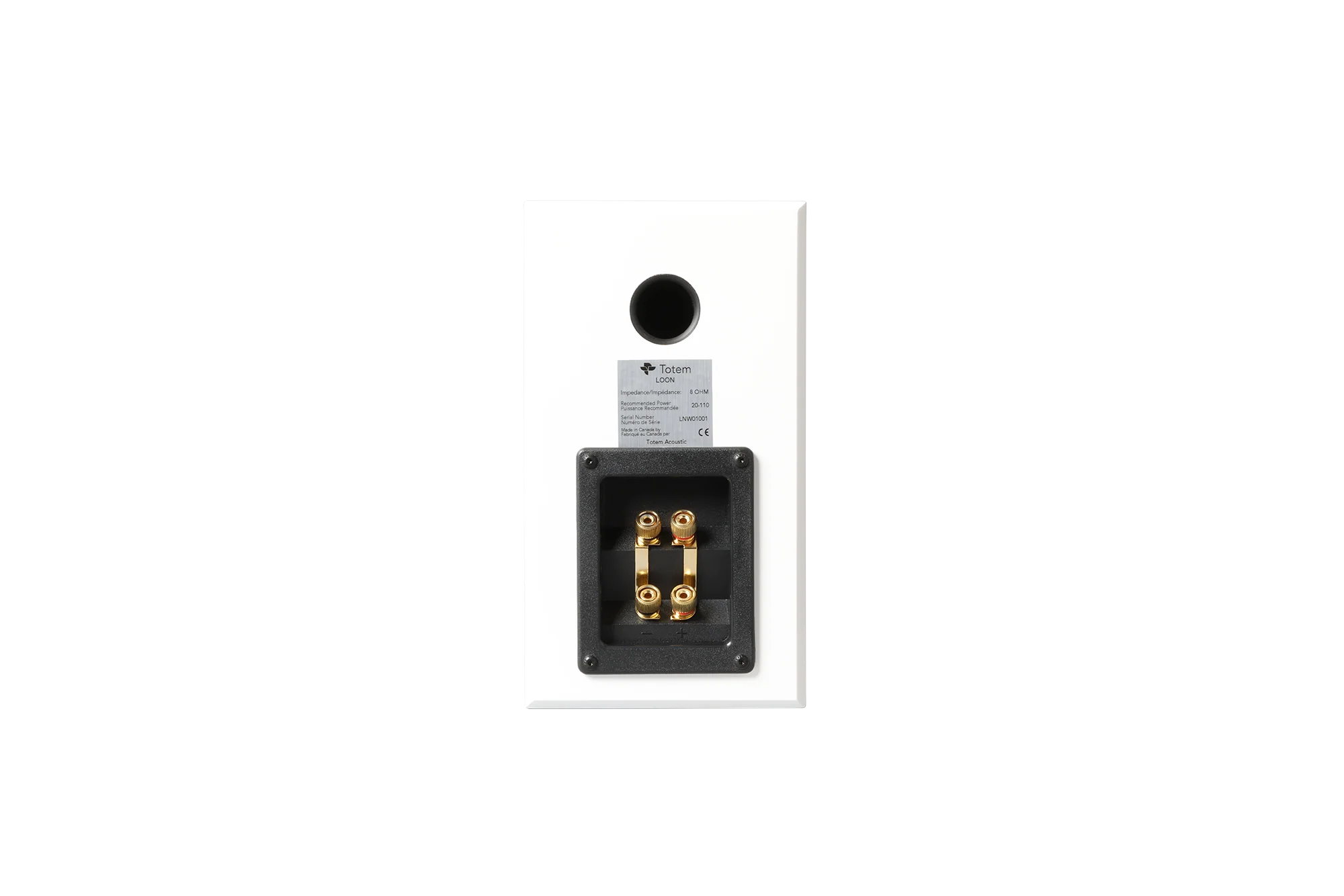 Totem LOON Monitor Speaker (Pair) - Image 19