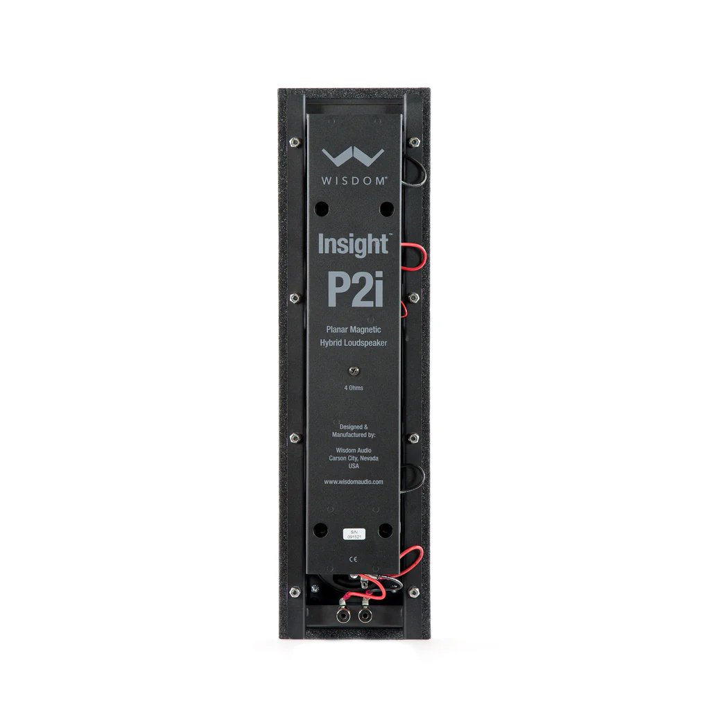 Wisdom Audio Point Source Insight Series P2i In-Wall Speaker (Each) - Image 4